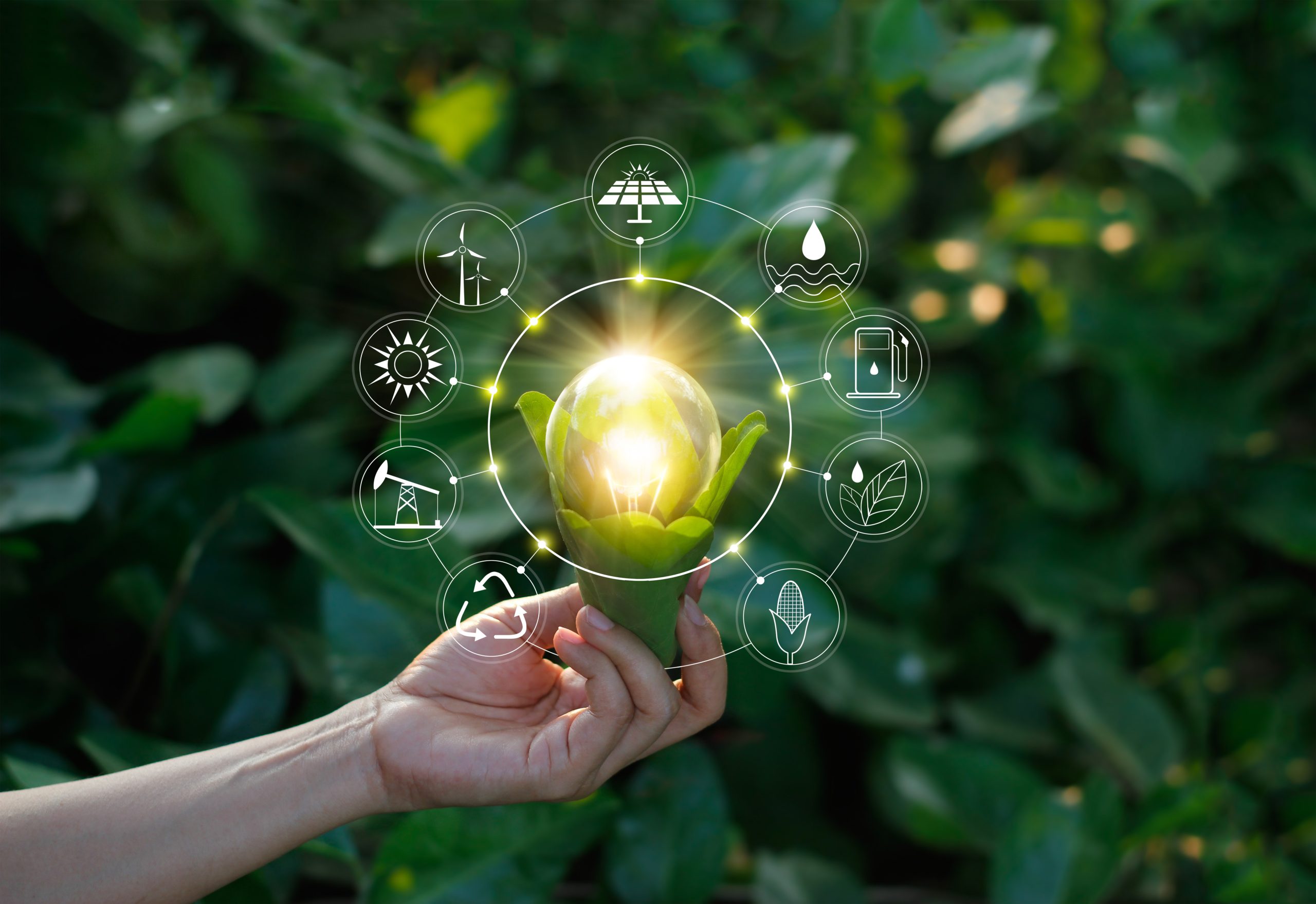Tecnología verde para cuidar al medio ambiente: KIO Networks