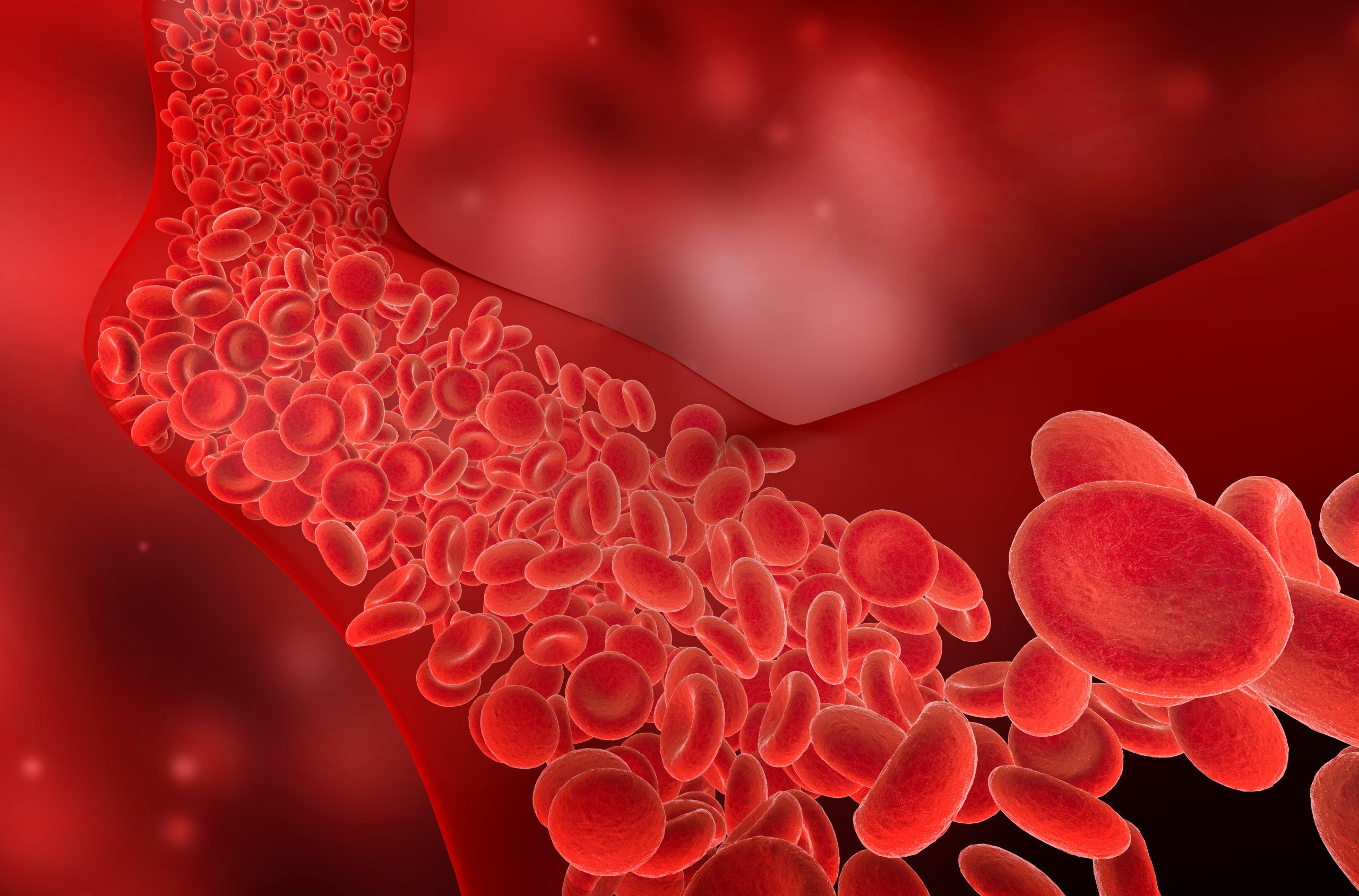 Colesterol, un factor silencioso que impacta la salud cardiovascular