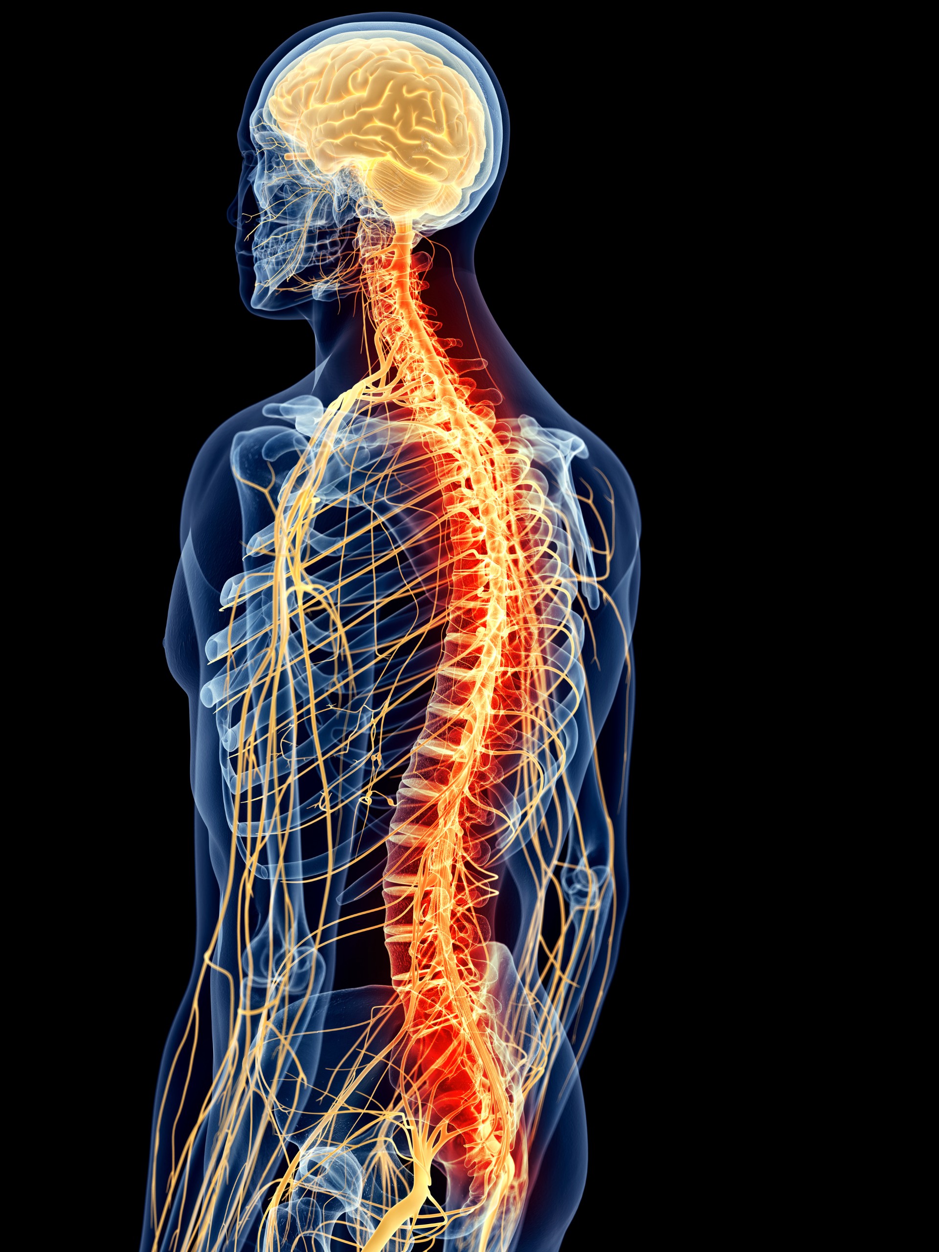 Cómo vivir con esclerosis múltiple y manejar los síntomas para mejorar tu calidad de vida